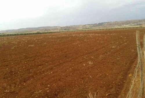 Vente Terrain Agricole Batna Seriana