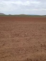Vente Terrain Agricole Batna Seriana