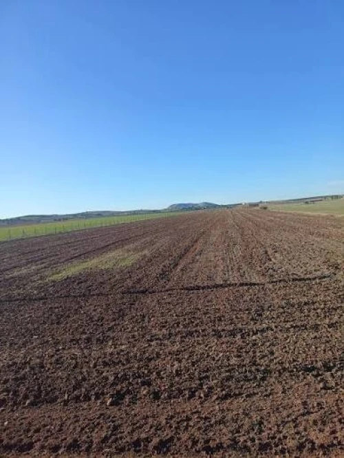 Vente Terrain Agricole Batna Seriana