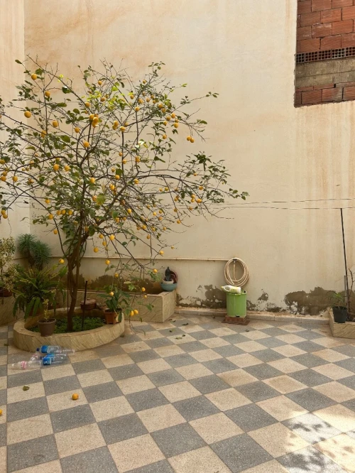 Vente Villa Relizane Oued rhiou