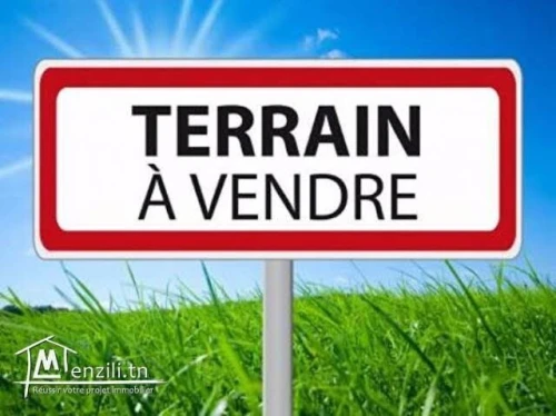 Vente Terrain Alger Birtouta
