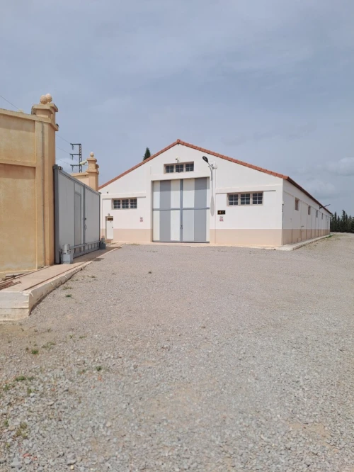 Location Hangar - Usine Sétif Ain arnat