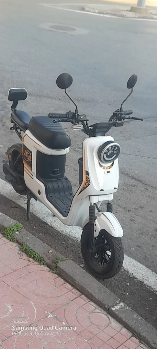 Scoozer Electrique 2024