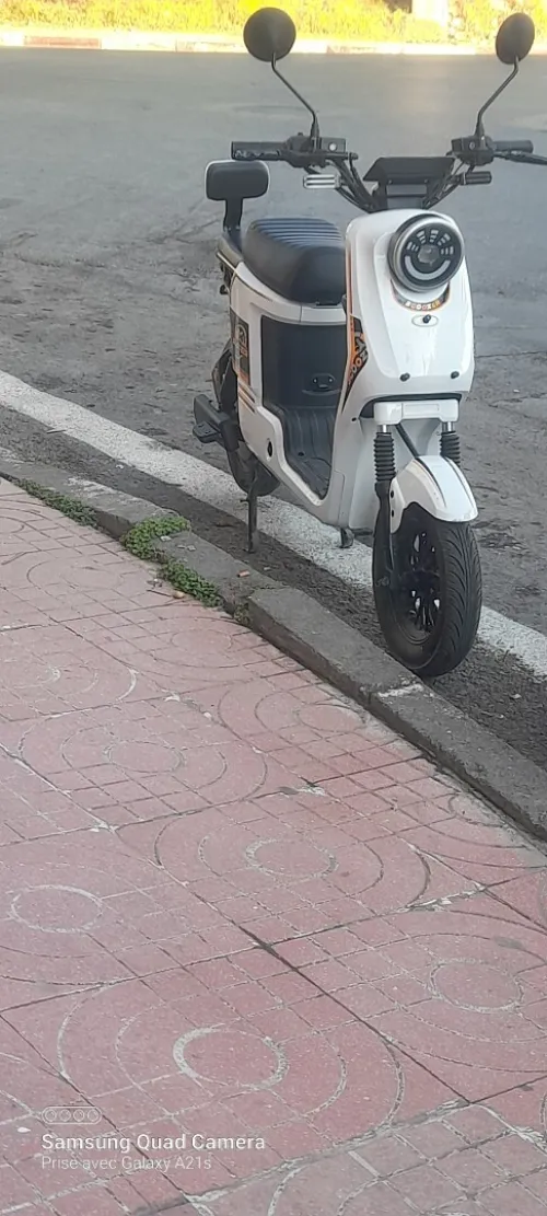 Scoozer Electrique 2024