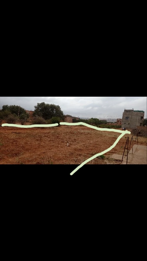 Vente Terrain Mostaganem Sidi lakhdaara