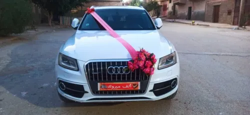 Audi Q5 2014 S Line