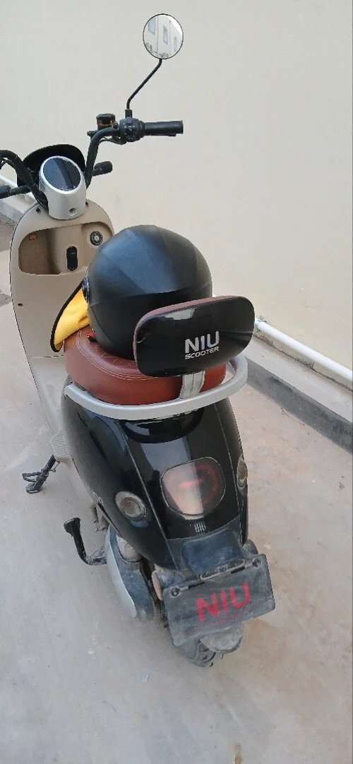 Niu Niu walido 2025