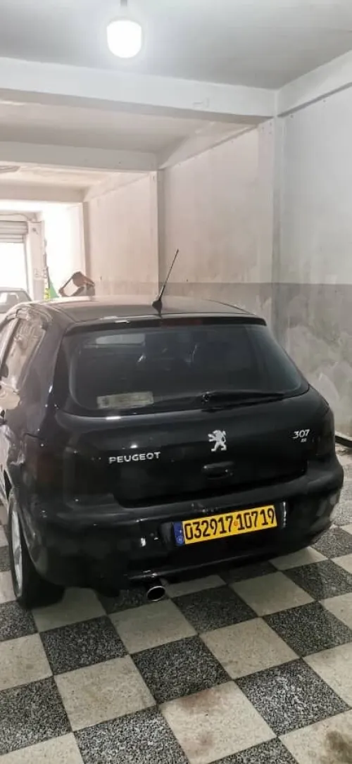 Peugeot 307 2007 Oxygo