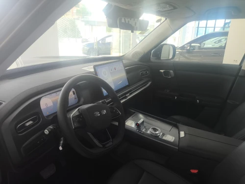 Baic BJ 30 2025 Toute option