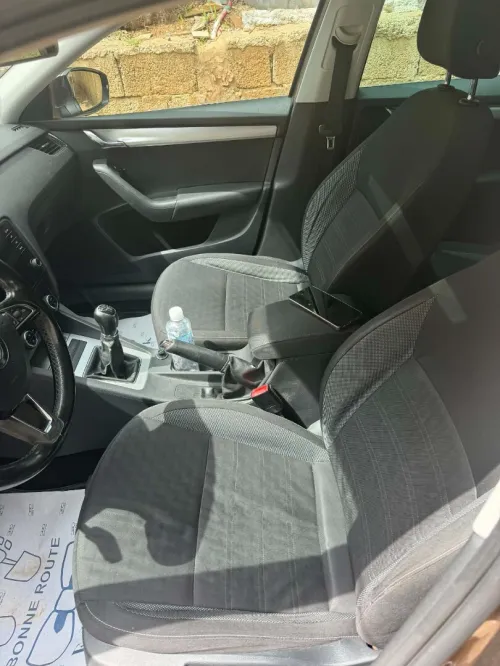 Skoda Octavia 2019 Clever