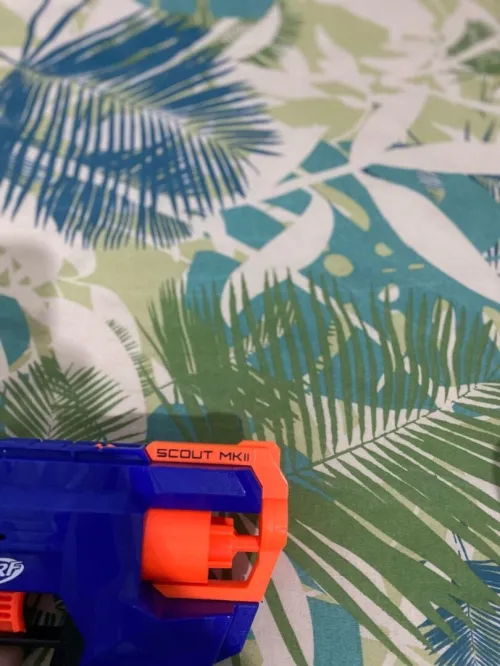 Nerf