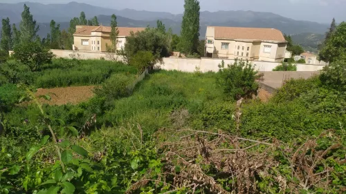 Vente Terrain Medea Medea