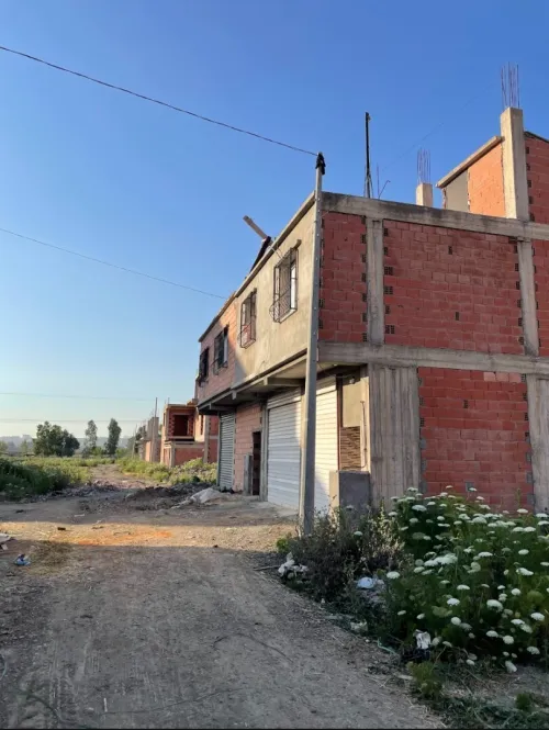Vente Terrain Alger Tessala el merdja
