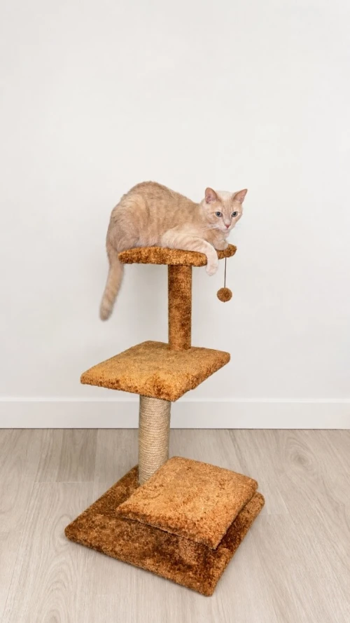 Arbre à chat solide et pratique