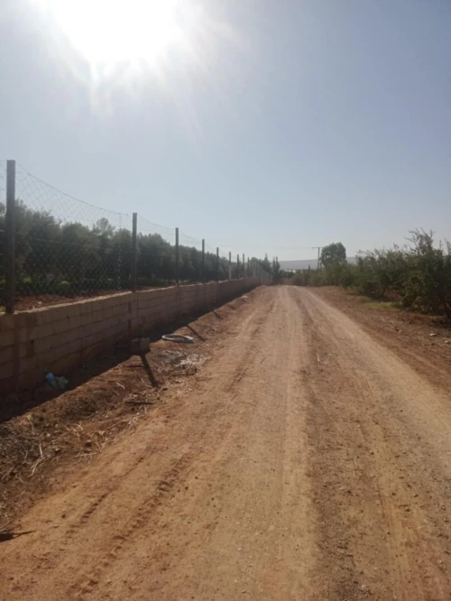 Vente Terrain Agricole Tlemcen Remchi