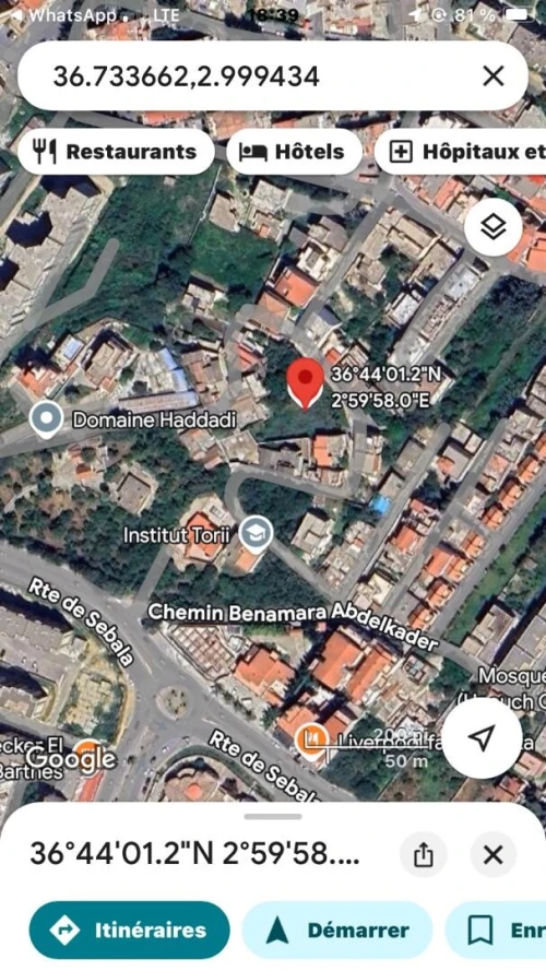 Vente Terrain Alger Zeralda