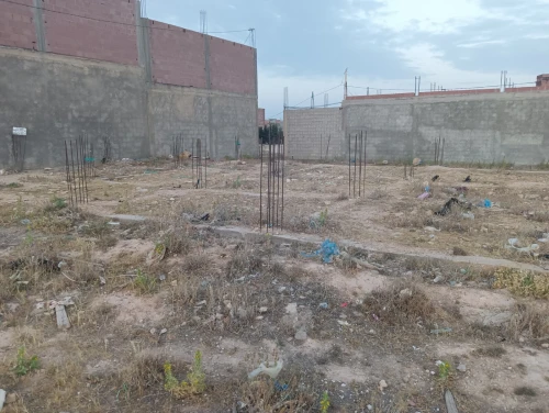 Vente Terrain Khenchela El mahmal