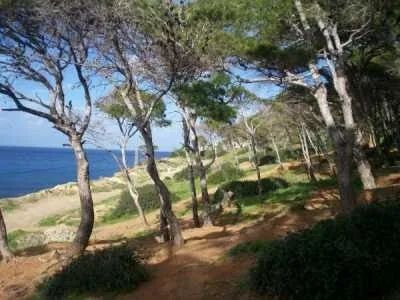 Location vacances Appartement Chlef Tenes
