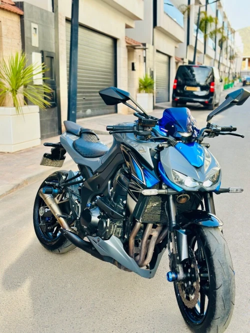 Kawasaki Z1000 2018