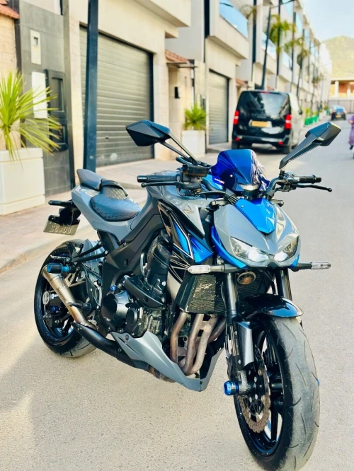 Kawasaki Z1000 2018
