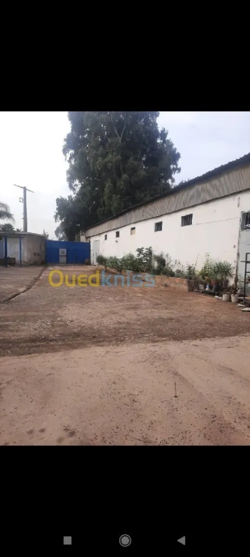 Vente Usine Alger Gue de constantine