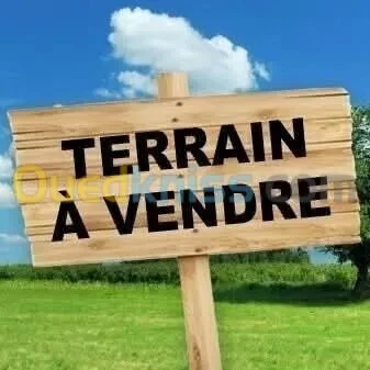 Vente Terrain Alger Beni messous