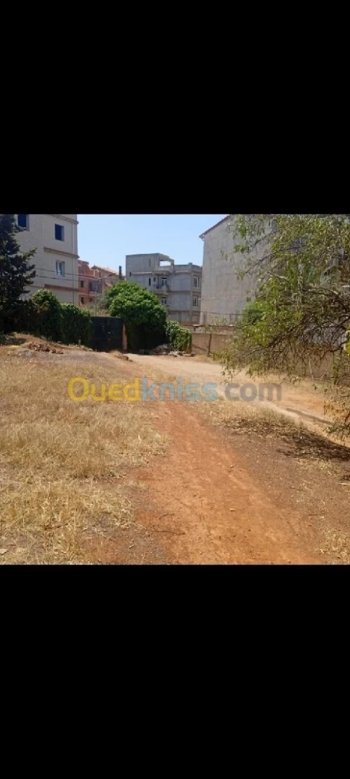 Vente Terrain Alger Saoula
