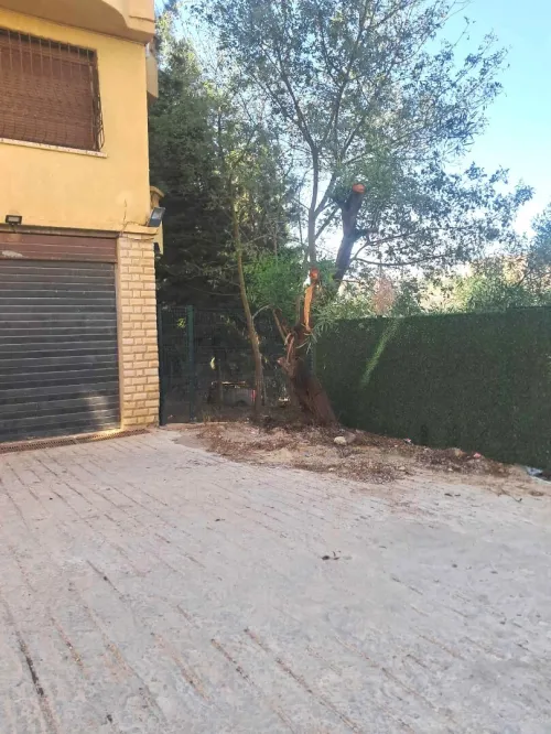 Location Villa Alger Draria