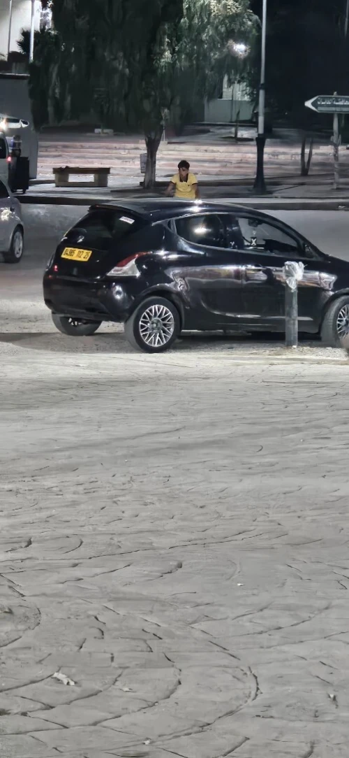 Fiat Linea 2011 Active