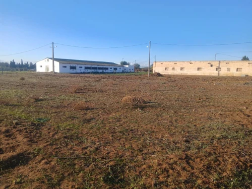 Vente Terrain Agricole Mostaganem Ain tadles
