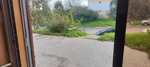 Vente Local Alger Ain naadja