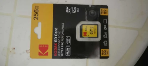 CARTE MEMOIRE KODAK SD 256 G