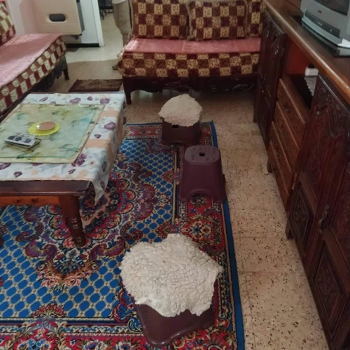 Location Appartement F3 Tlemcen Tlemcen