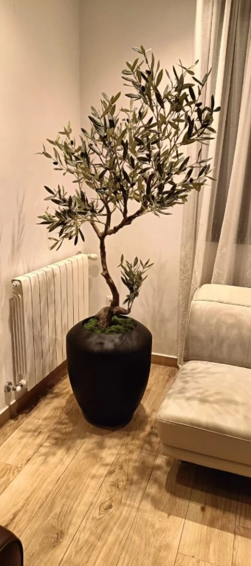 Pots de plantes en résine et fibre de verre
