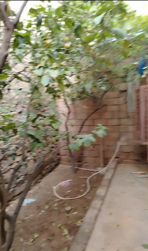 Vente Appartement Niveau de villa F5 Laghouat Laghouat