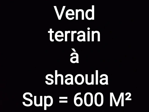 Vente Terrain Alger Saoula