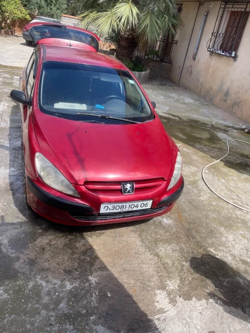Peugeot 307 2004 307 7