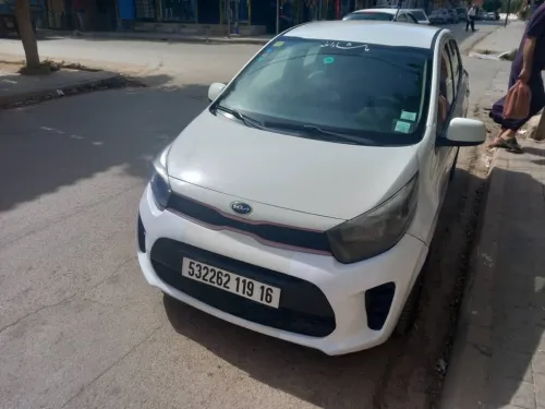 Kia Picanto 2019 Funny