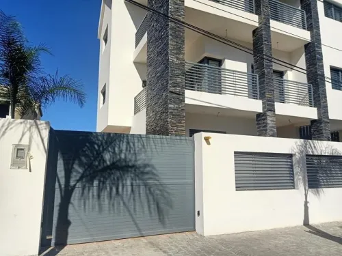 portail électrique / moteur coulissant / porte automatique / portail à battant 