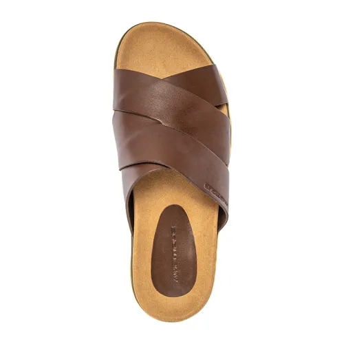 Ambitious - Mayan / Brown