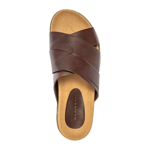 Ambitious - Mayan / Dk. Brown