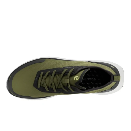 Ecco - Biom 2.2 M Acorn / Black