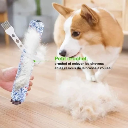 ACCESSOIRE BISSELL FILTRE + BROSSE TIHCA5D4