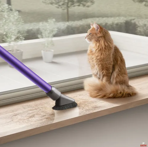 BALAI ASPIRATEUR DYSON V10 ANIMAL V10 ANIMAL+