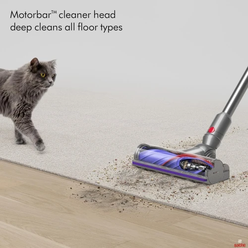 BALAI ASPIRATEUR DYSON V12 DETECT SLIM ABSOLUTE V12 SLIM ABS