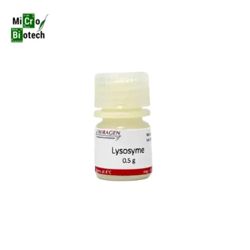 Lysozyme
