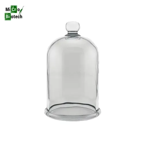 Cloche en verre - Dimensions: 235x100mm