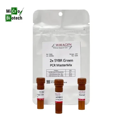 2x SYBR Green PCR Master mix
