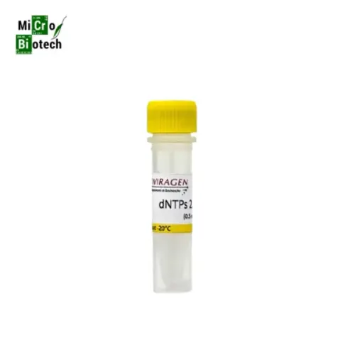 dNTPs Mix ( A T C G ) - Concentration: 10 mM, Volume: 0.5ml