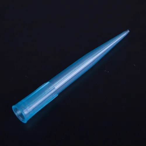 Embouts Bleus_cônes